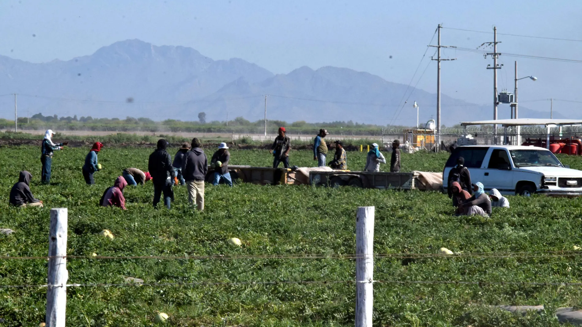 Jornaleros Agricolas Costa de Hermosillo-Carlos Villalba (9)